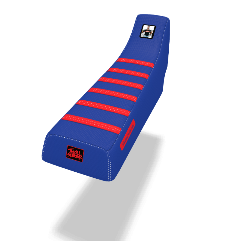 Custom Seat Cover: 2009 Suzuki LT-Z 400
