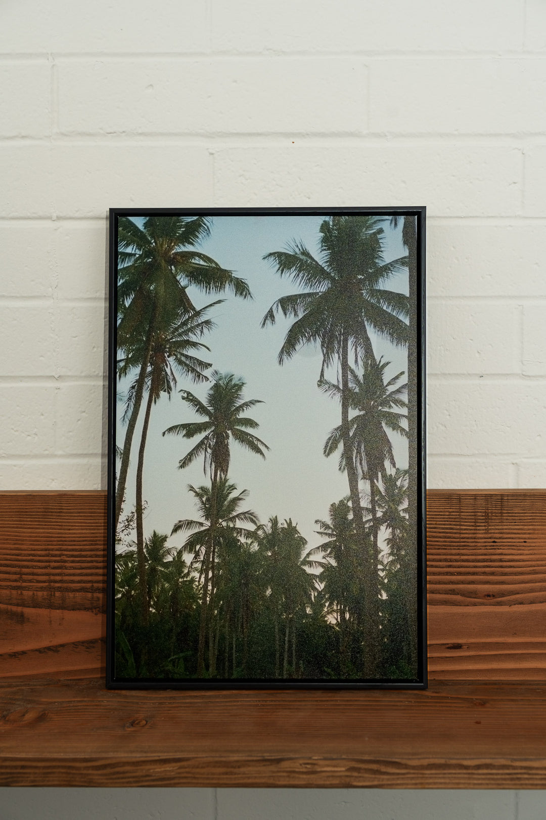 Nusa Palms Framed Canvas - 16x24
