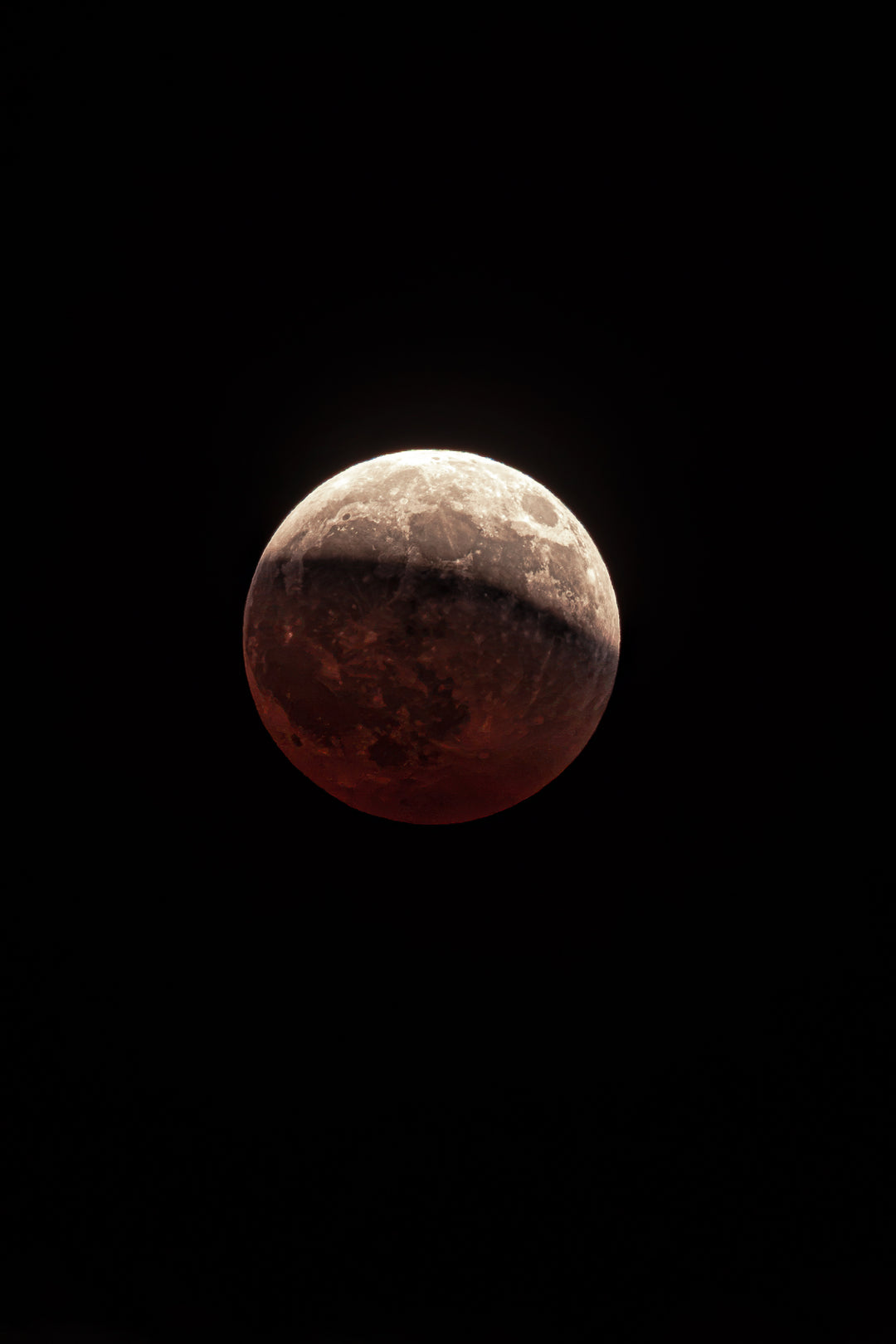 Fall Photo Print - Moon