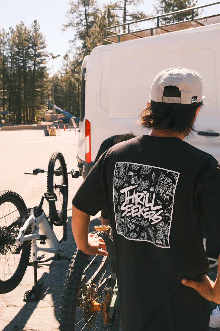 Paisley Tee