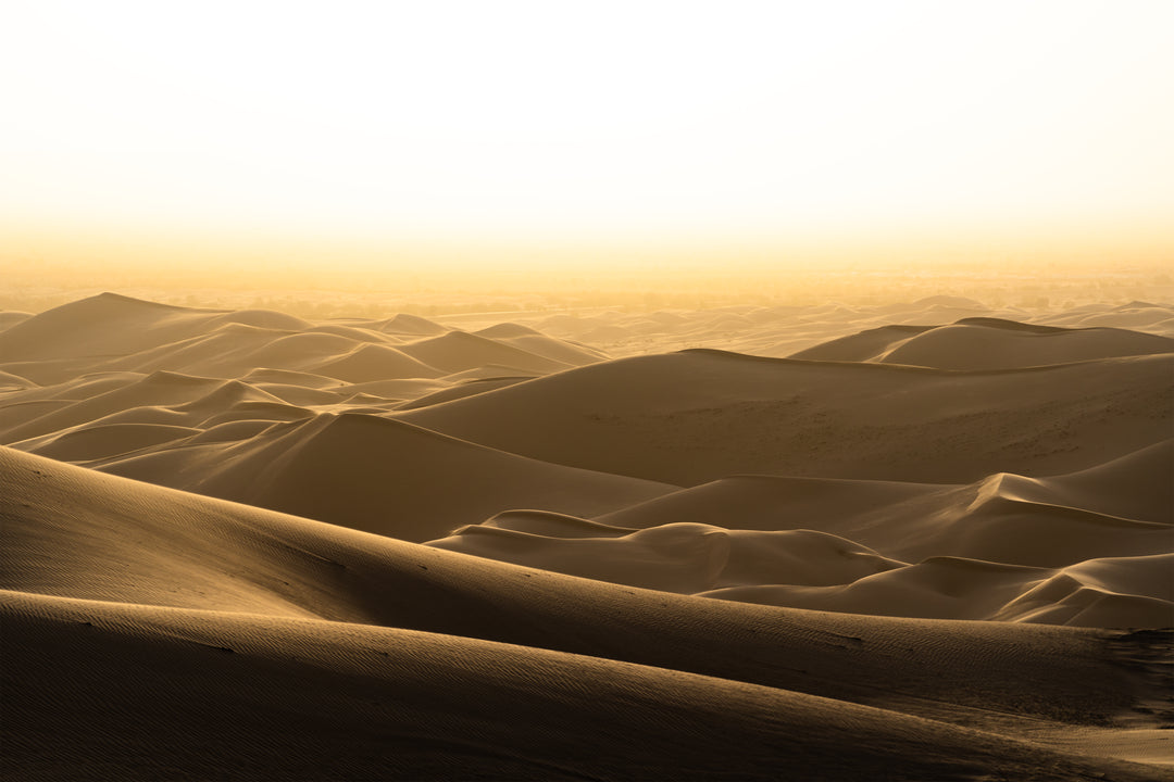 Dune Sunrise Print - 11x17